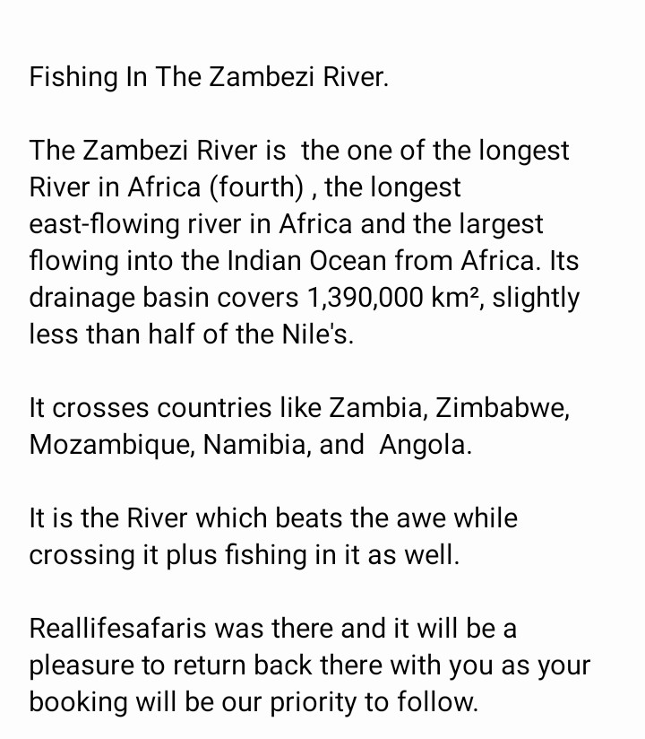 reallifesafaris's tweet photo. #fishinglifestyle #troutfishing #boat #sportfishing #pikefishing #lake #fishingtime #reallifesafaris #kayakfishing #kyaking #adventure #river #fishingday #fishinglures #travel #saltlife #ocean #tigerfish #smallmouthbass #followers #camping #fishingfun #boating #freshwaterfishing https://t.co/Pafj29hku3