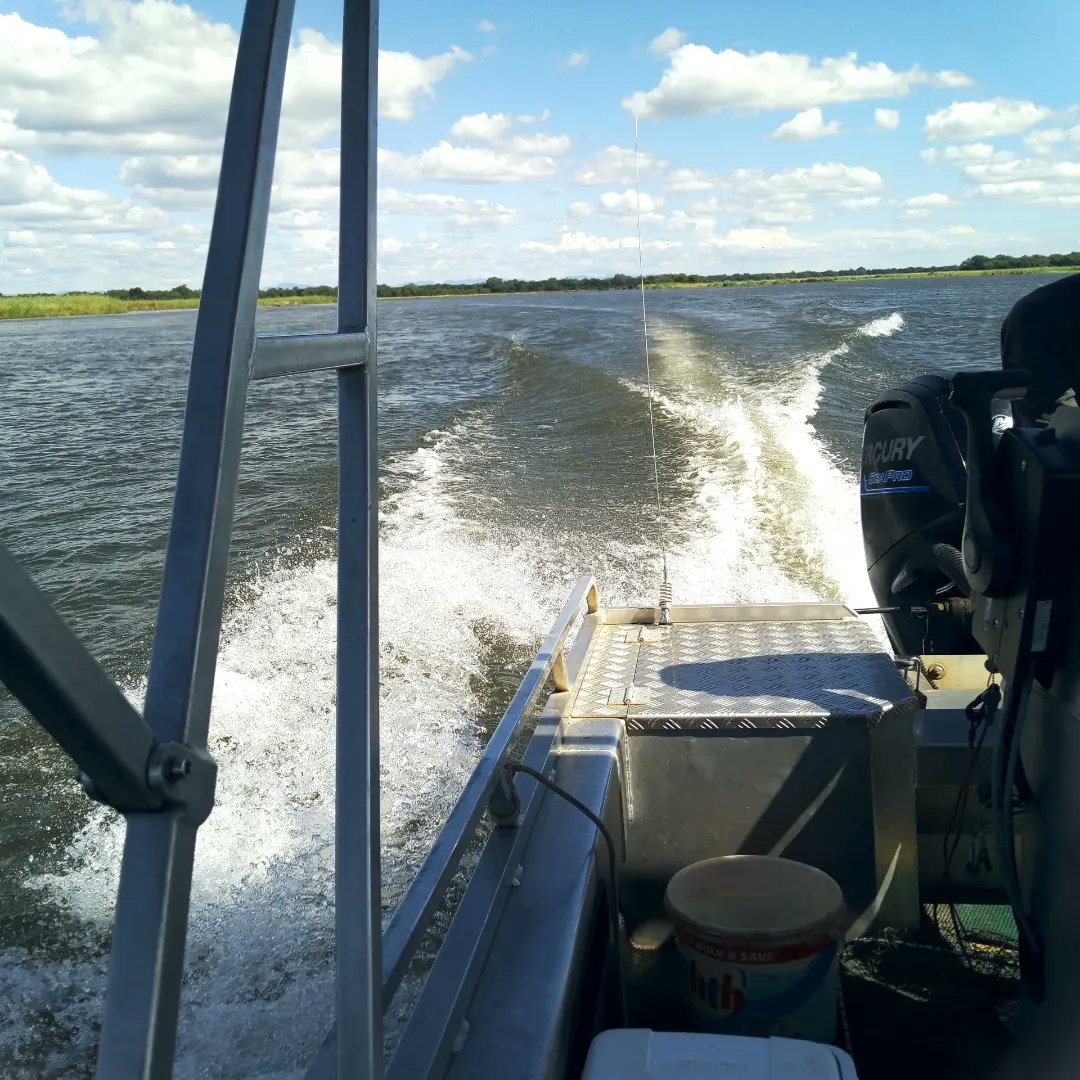 reallifesafaris's tweet photo. #fishinglifestyle #troutfishing #boat #sportfishing #pikefishing #lake #fishingtime #reallifesafaris #kayakfishing #kyaking #adventure #river #fishingday #fishinglures #travel #saltlife #ocean #tigerfish #smallmouthbass #followers #camping #fishingfun #boating #freshwaterfishing https://t.co/Pafj29hku3