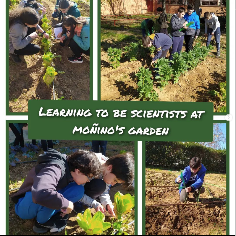 RodriguezMonino's tweet photo. Los alumnos de 1º ESO de la sección bilingüe en la materia de Biology and Geology están estudiando el Método Científico mediante una Situación de Aprendizaje en la que ellos mismos llevan a cabo su propia investigación en la Huerta del Moñino. https://t.co/1iMssOUeXk