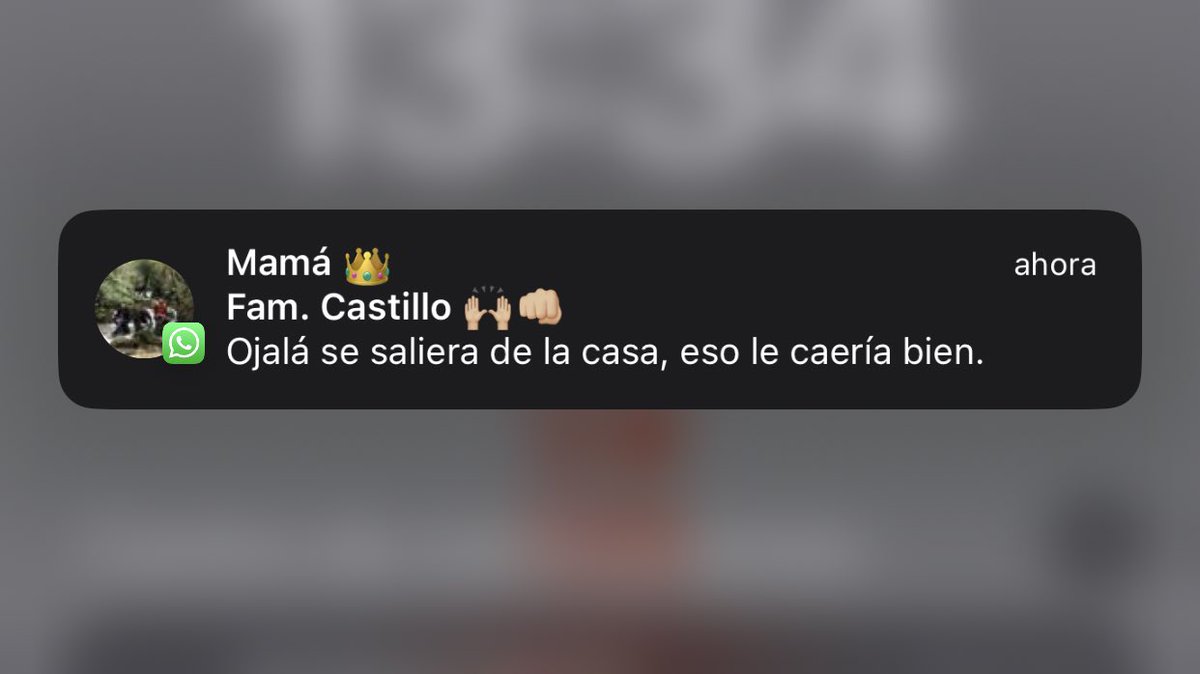 Mi hermano: se pelea y se sale del grupo 

Mi mamá: