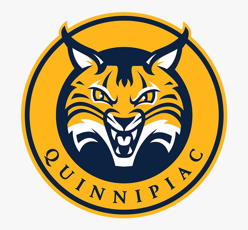 taylorbrueske's tweet image. I am extremely honored and blessed to announce my commitment to play Division 1 hockey and further my education at Quinnipiac University! Thank you to my coaches, teammates, friends, and family for helping this dream come true! #gobobcats