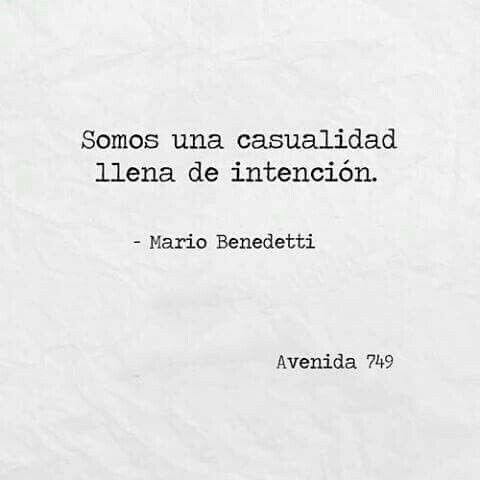 LetrasBreves's tweet photo. https://t.co/y8Jgj6SspR