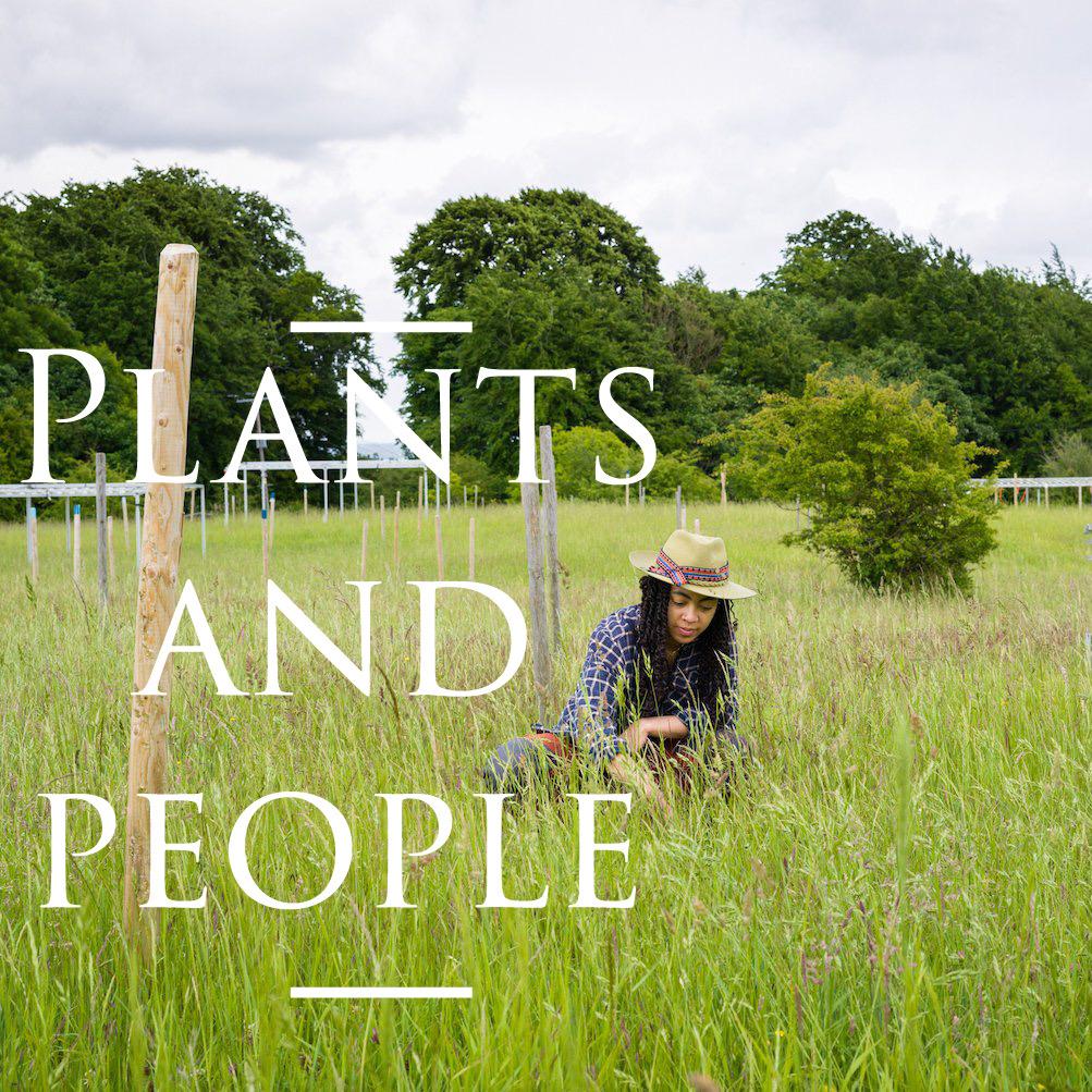 Join us tomorrow where @sara_lil_plants will discuss the relationship between plants and people in light of our food, climate and biodiversity crisis. 6PM, live & online! Kmis.eventbrite.co.uk