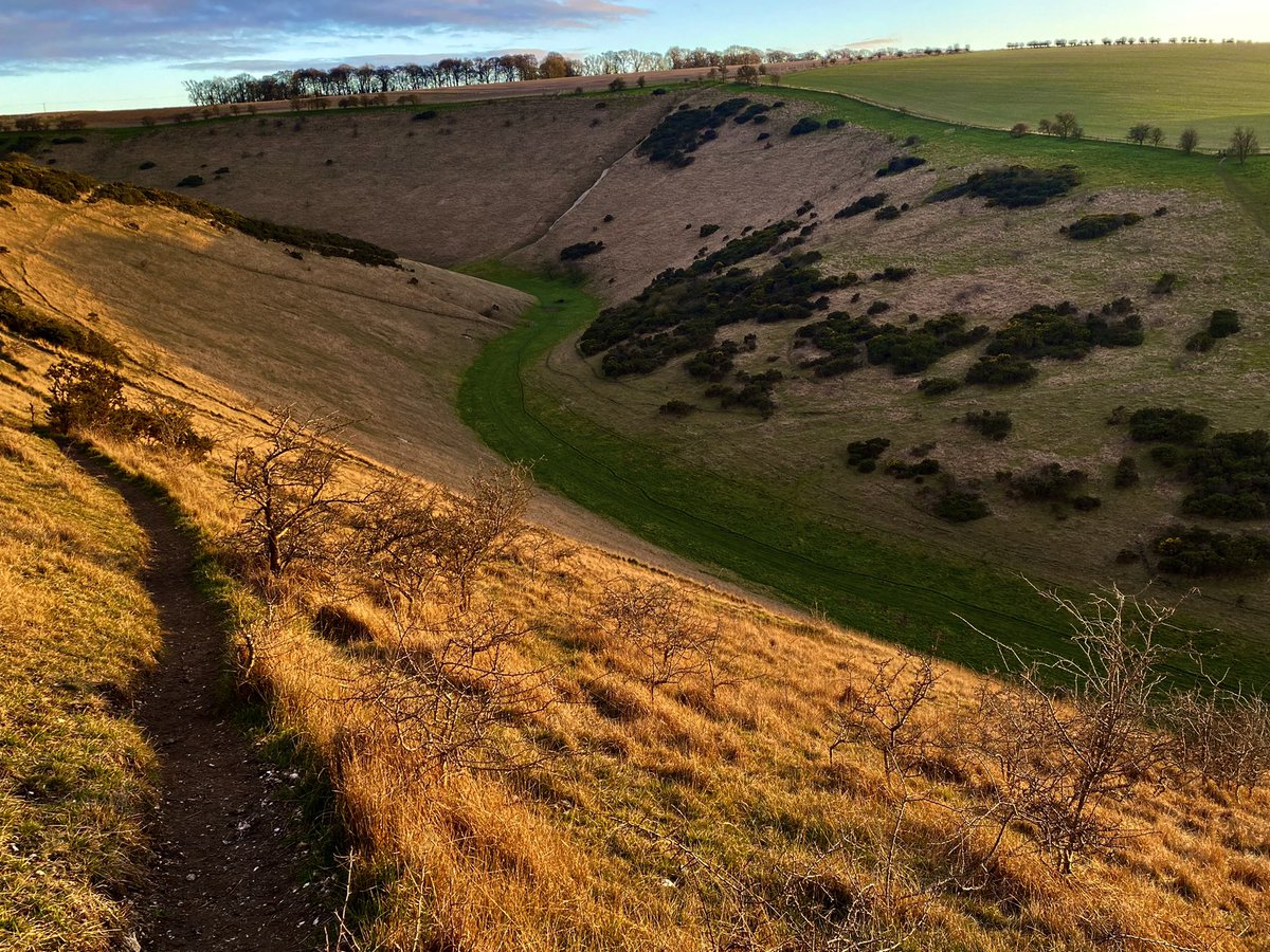 What a landscape #YorkshireWolds 😍