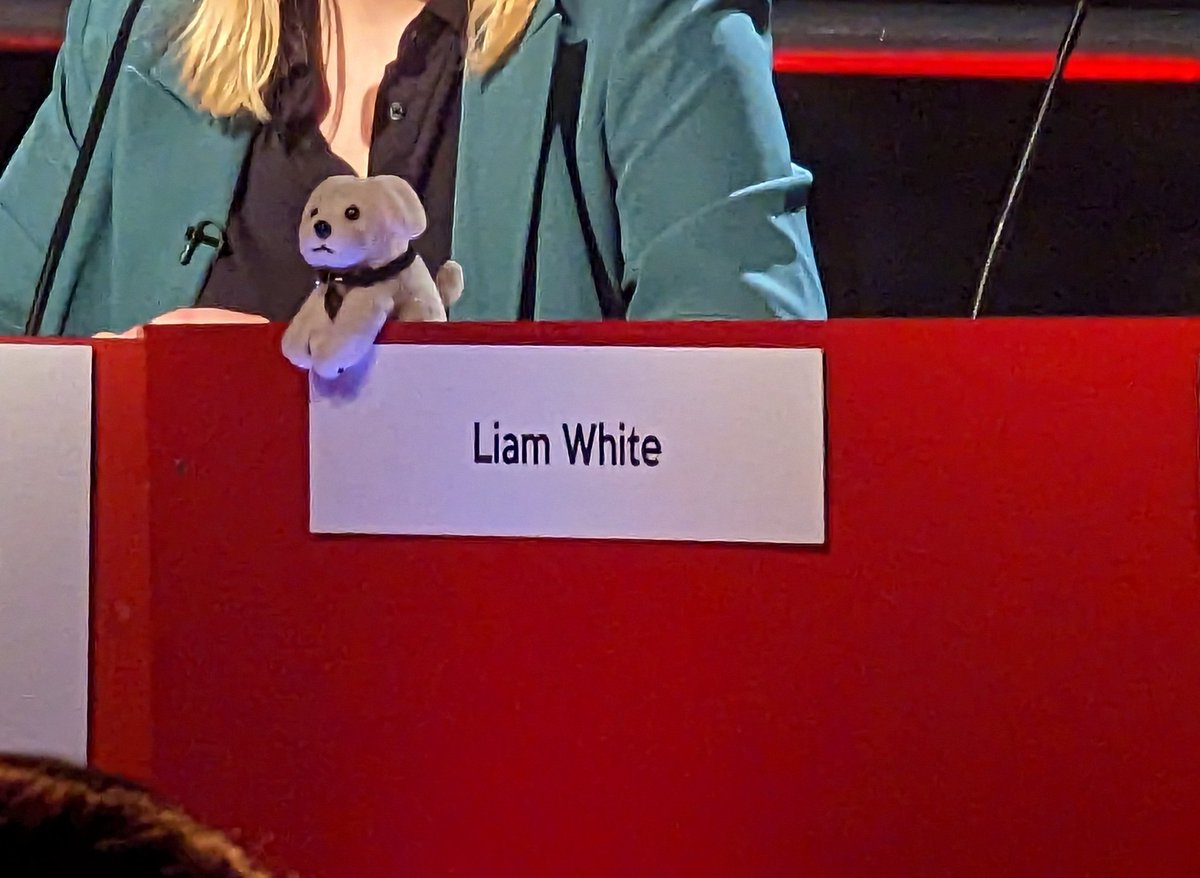 denp0sting's tweet photo. huge love for Liam's mascot 🥹 #surreydecides https://t.co/Oi0ykrkfJc