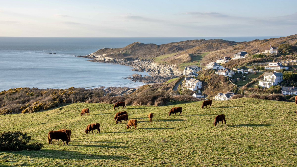 mcsparkyj's tweet photo. Walkies over Black Cloud Hill this evening and there was too many nice scenes to mention π
ππΆπΆπ
#woolacombe #mortehoe #norhdevon https://t.co/9xpfoFx0X1