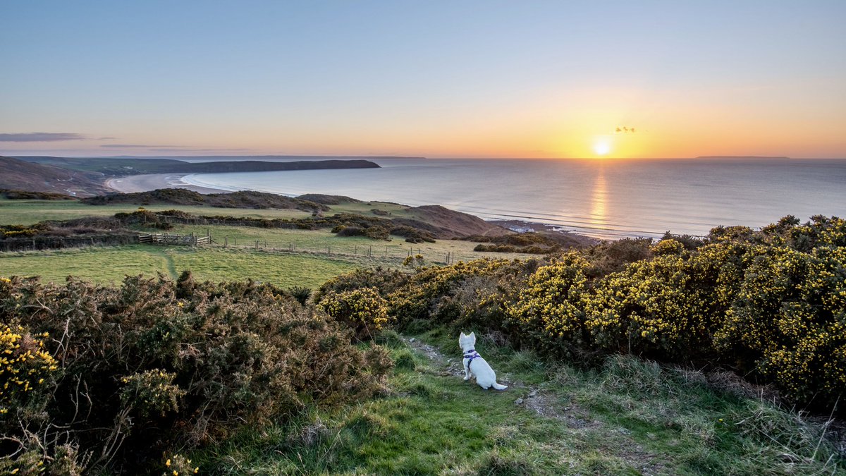 mcsparkyj's tweet photo. Walkies over Black Cloud Hill this evening and there was too many nice scenes to mention π
ππΆπΆπ
#woolacombe #mortehoe #norhdevon https://t.co/9xpfoFx0X1