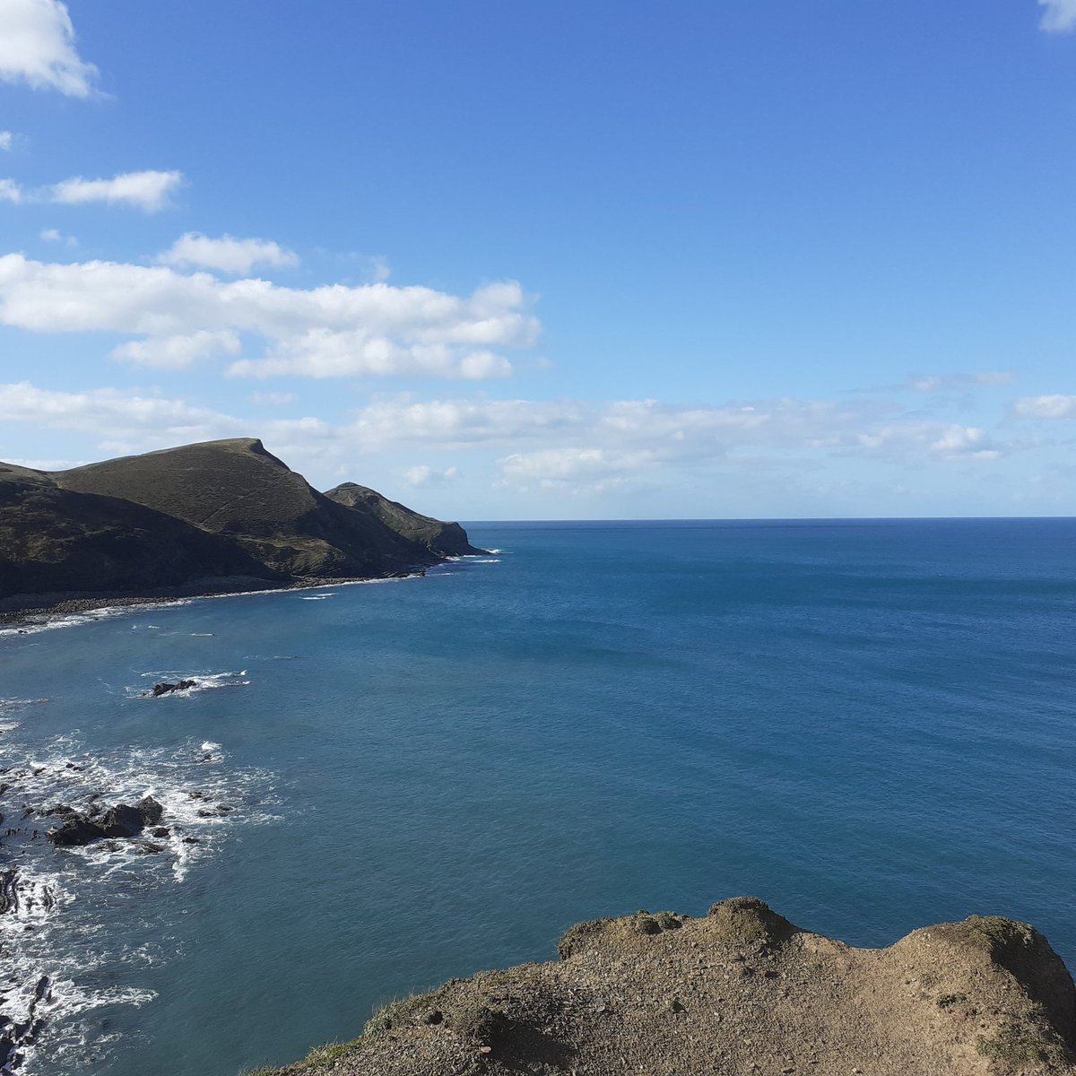 Driftwood_Penryn_Cornwall tweet media