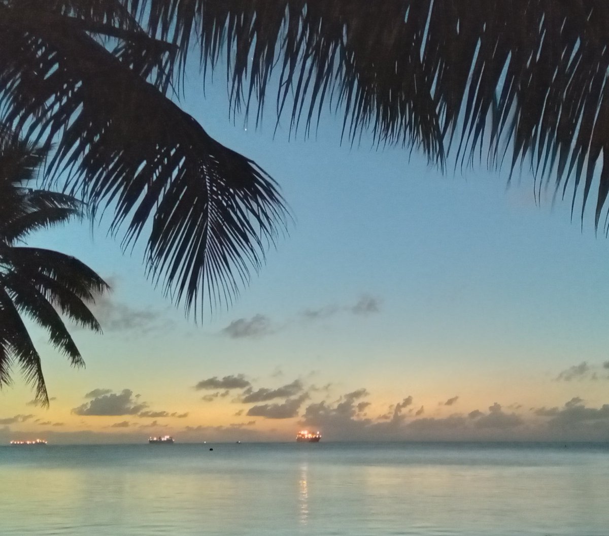 iriguchi0hama's tweet image. ニンゲンは木曜から旅行に出ておりました。今日お昼に帰宅予定。
ごんは元気そうとの報告。先週ちょっと白かったけど、脱皮したかな…
写真は旅先で出会ったヤモリさんたちと風景。また行く。
#saipan ＃tinian #gecko #sunset #beachlife #サイパン