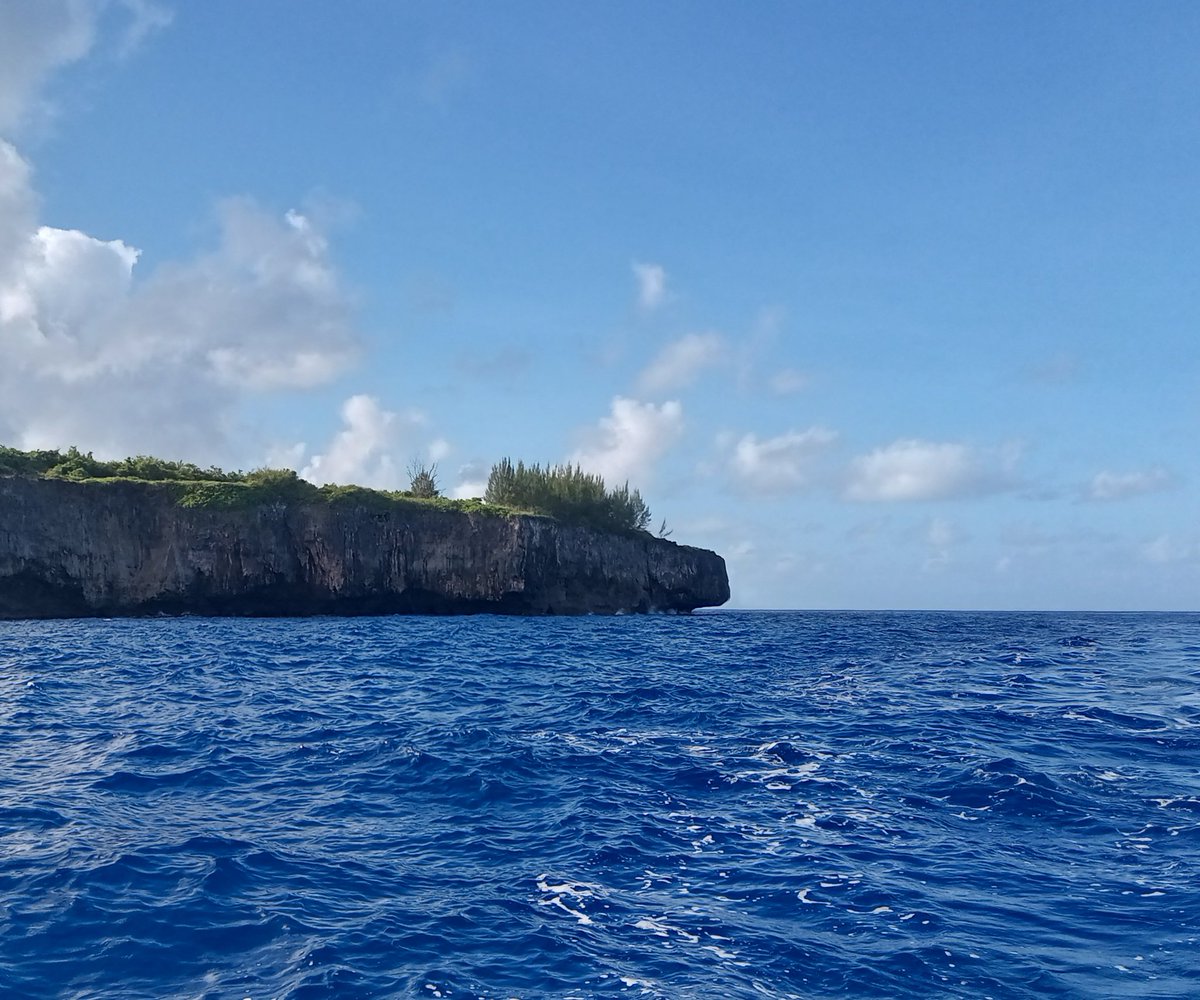 iriguchi0hama's tweet image. ニンゲンは木曜から旅行に出ておりました。今日お昼に帰宅予定。
ごんは元気そうとの報告。先週ちょっと白かったけど、脱皮したかな…
写真は旅先で出会ったヤモリさんたちと風景。また行く。
#saipan ＃tinian #gecko #sunset #beachlife #サイパン