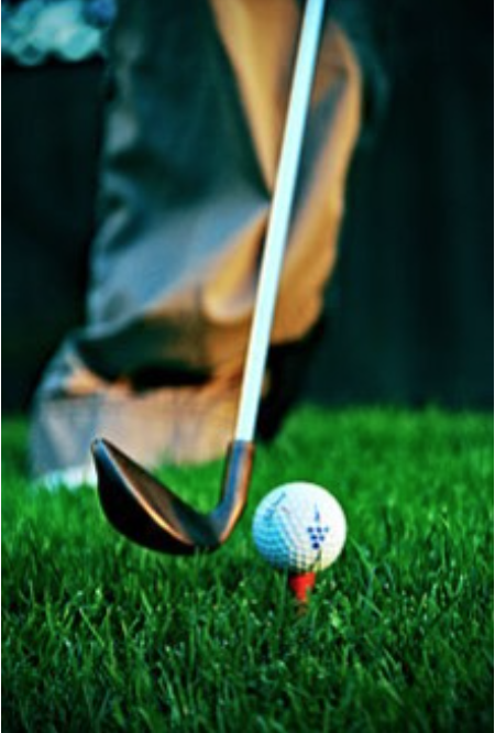 Festival Eclectica tweet media