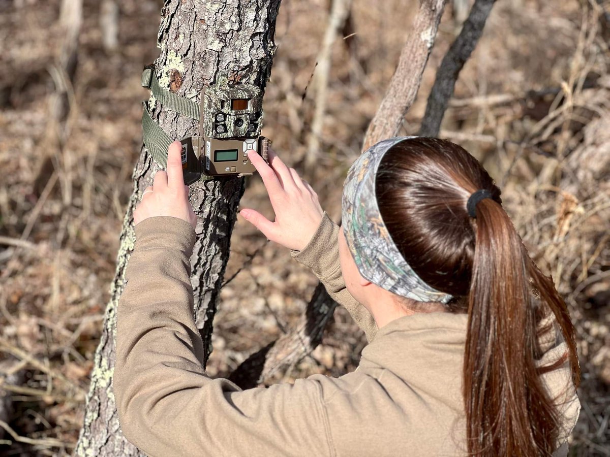 Look at how well that Browning Trail Camera blends into the tree! What are you getting on your #browningcameraa lately?

Image: Pro-Staffer Scott Cronin

#youvegottoseethis #browning #trailcameras #gamecamera #hunting