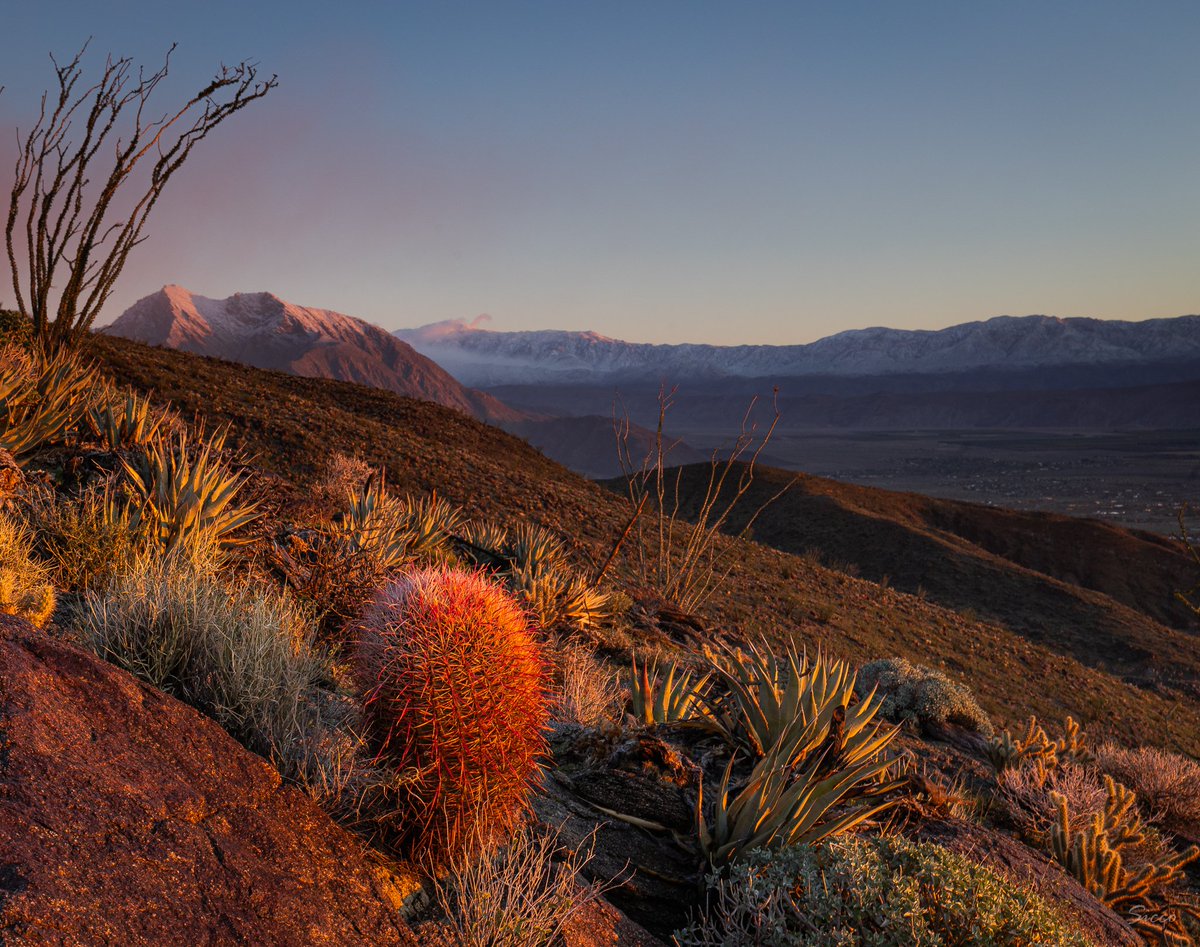 AnzaBResearch's tweet photo. Sunrise this morning above the Reserve. Overnight snow on Chief Rain-in-the-Face (Indianhead Peak) and the Santa Rosa Mountains (Photo: Sicco Rood). https://t.co/3SvUd2ljX1