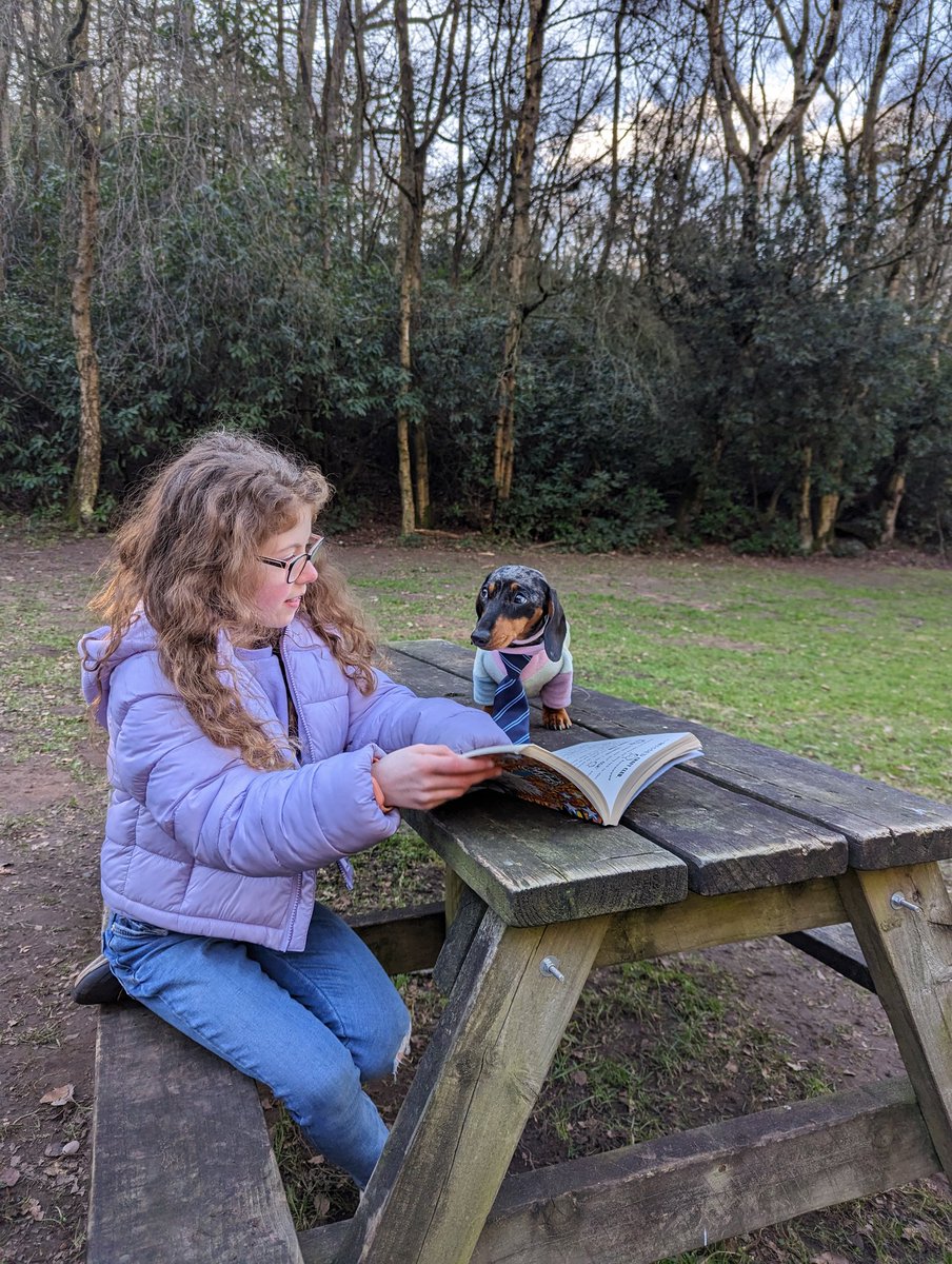 Rach_radcliffe's tweet photo. @HFCronton Cara doing some extreme reading for World Book Day at #hawkstoneparkfollies. Even Darcey the sausage dog joined in wearing a Holy Family tie. https://t.co/XZsfQWrPXS