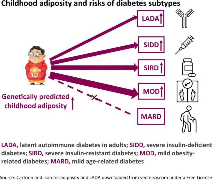 Nothing good about childhood adiposity and risk of #diabetes <a href="/DiabetologiaJnl/">Diabetologia</a> link.springer.com/article/10.100…