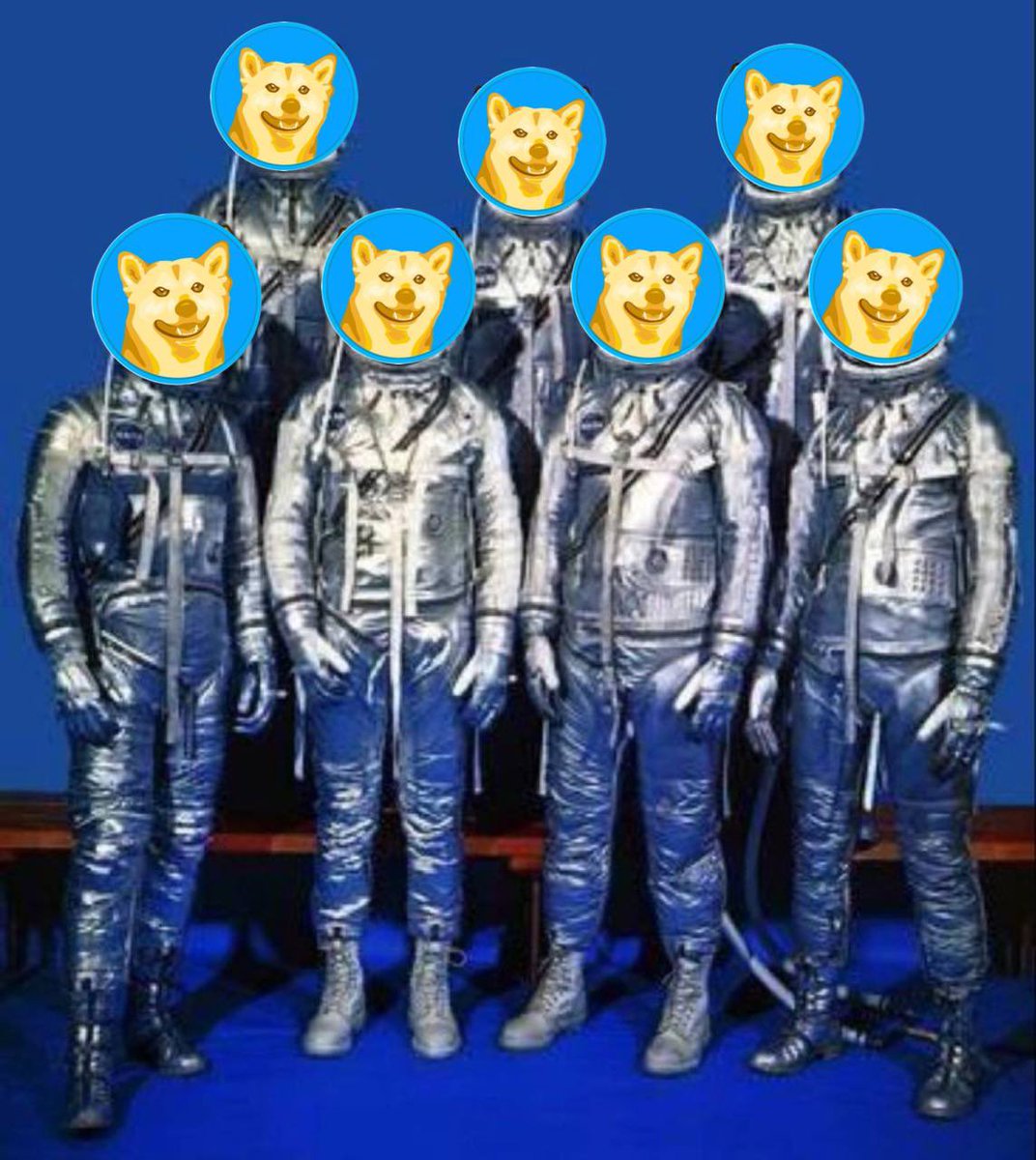 dogefandev's tweet photo. @dogefantoken ⚠️ 2016 - You missed $ETH
⚠️ 2017 - You missed $DOGE
⚠️ 2018 - You missed $BNB
⚠️ 2019 - You missed $LINK
⚠️ 2020 - You missed $DOT
⚠️ 2021 - You missed $SHIB
⚠️ 2022 - You missed $APE
✅ In 2023, don’t miss $DOGEFAN 🔥🔥🔥

#Dogefan 
#dogefanswap
#Crypto #CryptoNews 
#Moon https://t.co/Ef88XjKgxg