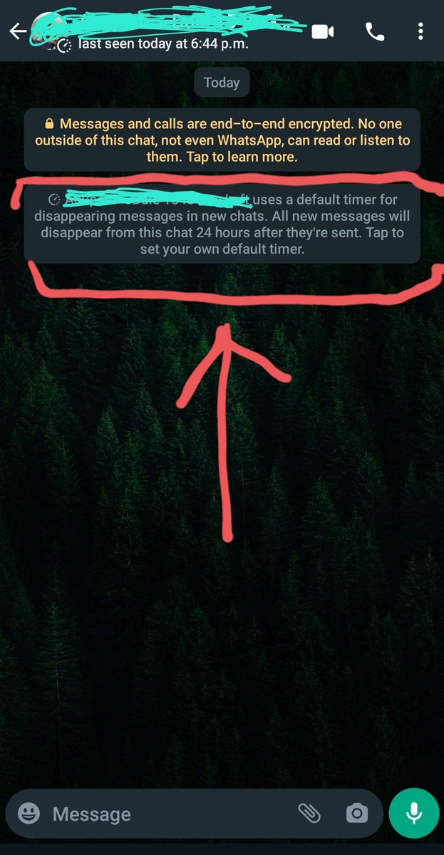 The "24 hour self deleting chat" feature on WhatsApp is destroying my faith in humanity. Aren't conversations (and media) not sacred anymore? 
Clearly there is a need for it in the market otherwise why would Meta develop something like this?
