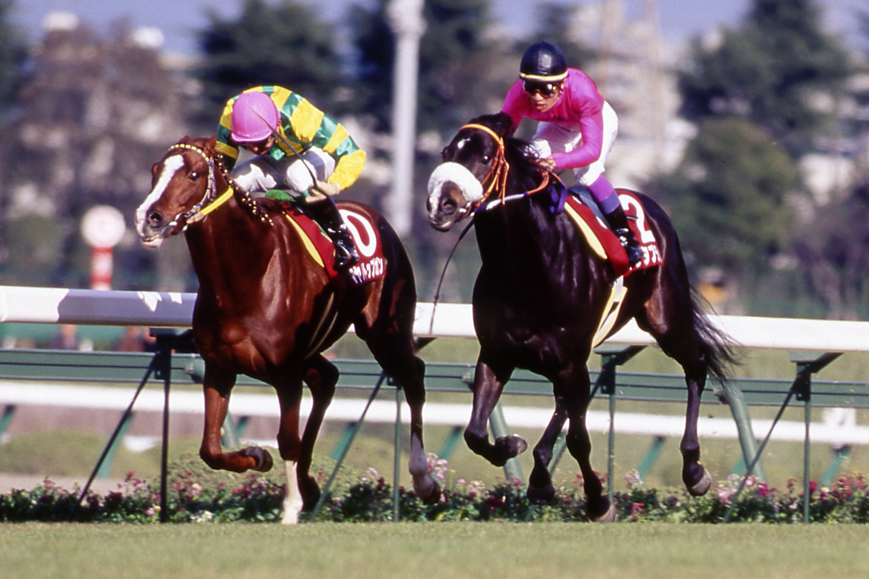 JRA-VAN公式 en X: 