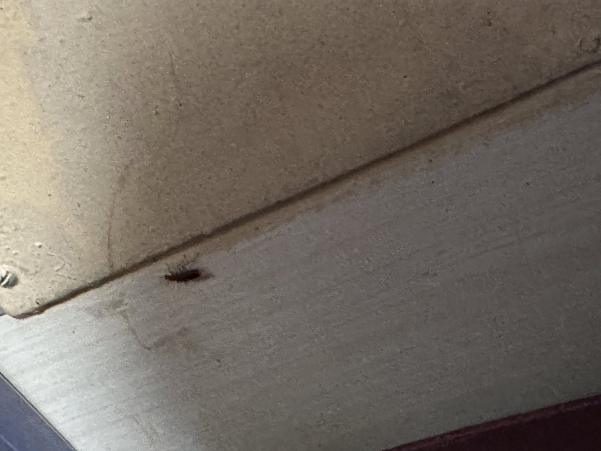 anilsethii's tweet photo. @RailwaySeva  very painful journey was there my coach was full of cockroaches. Whole night was not able to sleep a single minute because of cockroaches. Nobody was there to listen our pain. In return same train is there pls do needful.
836-2343525, 846-3244026. https://t.co/pSIEH0s3TJ