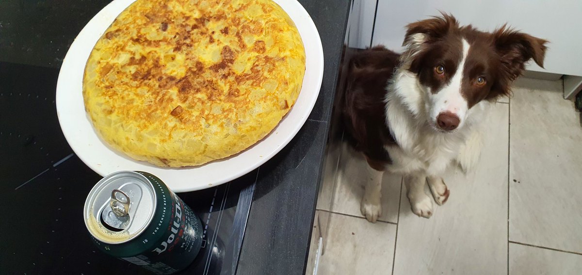 iparatx's tweet photo. Invertir en valor

Pues vamos al lío... La pelirroja no pierde detalle.

@volldamm #Tortillota #SinCebolla #JamonYQueso #Freyja #BorderCollie https://t.co/25biG56ltL