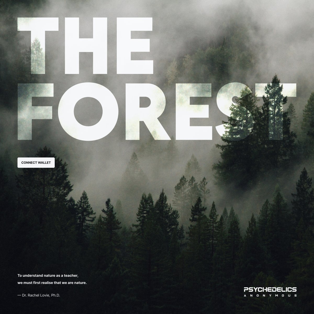 /  T H E  F O R E S T

Chapter II

The flames of destiny.

- - -

The next path through The Forest is live.

- - - 

To find yourself you must first become lost.

Details in Discord.

- - -