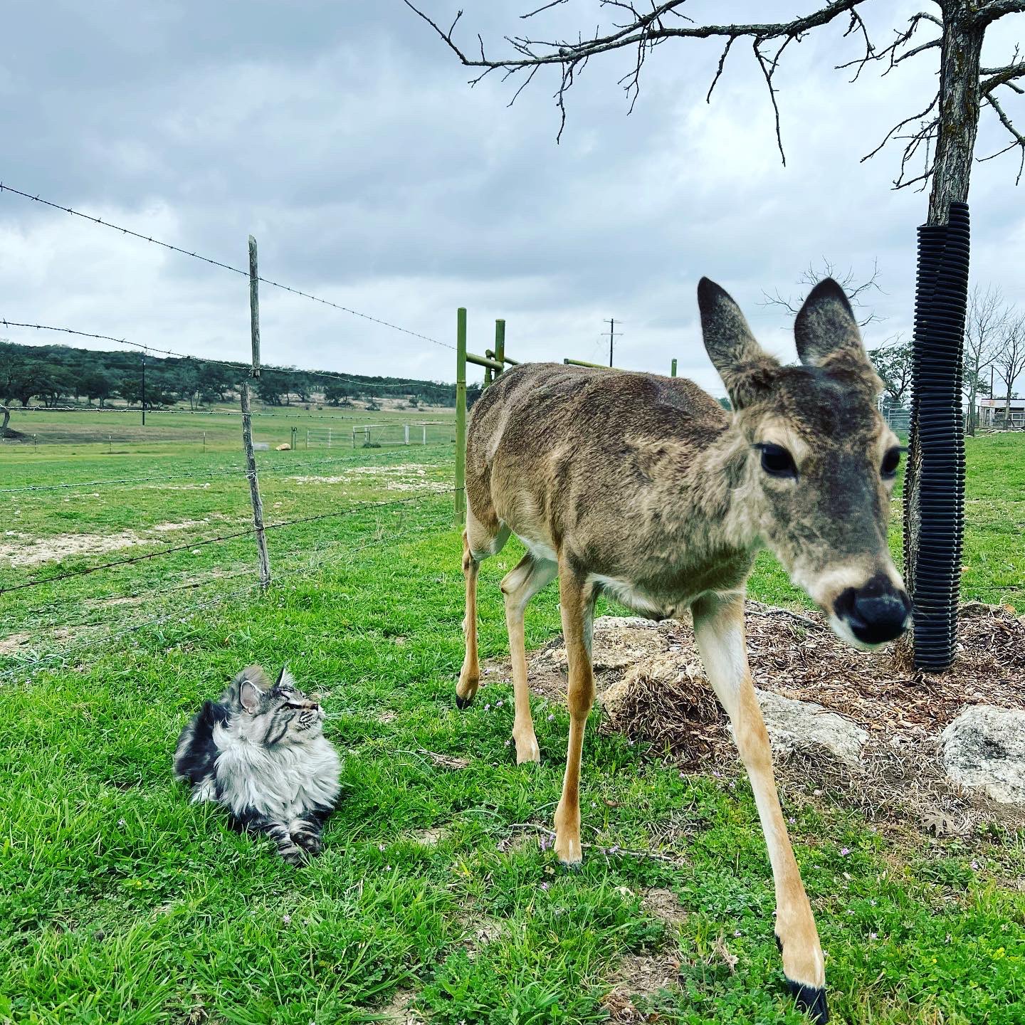 John F. Carter on Twitter "WTF? https//t.co/KHDxYm6khq" / Twitter