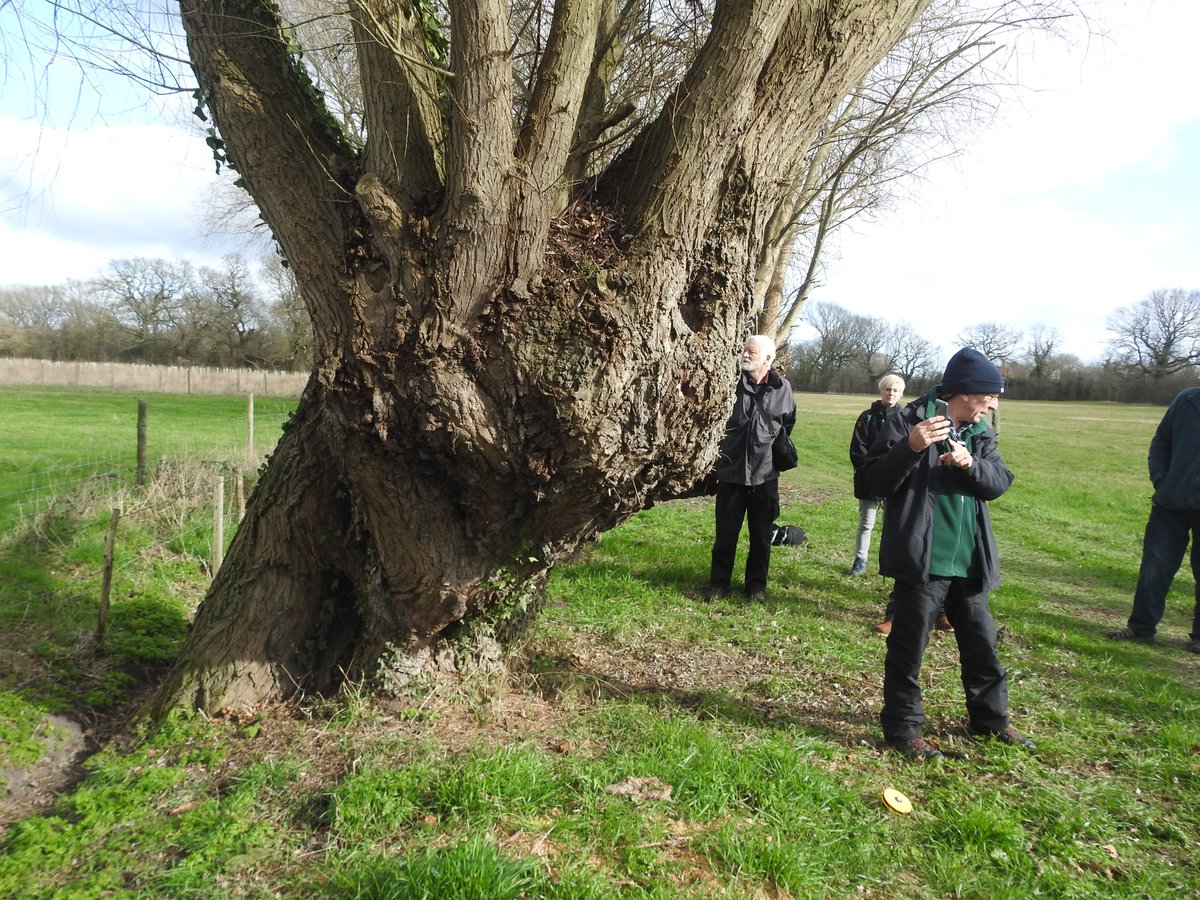 Ian Rotherham tweet media