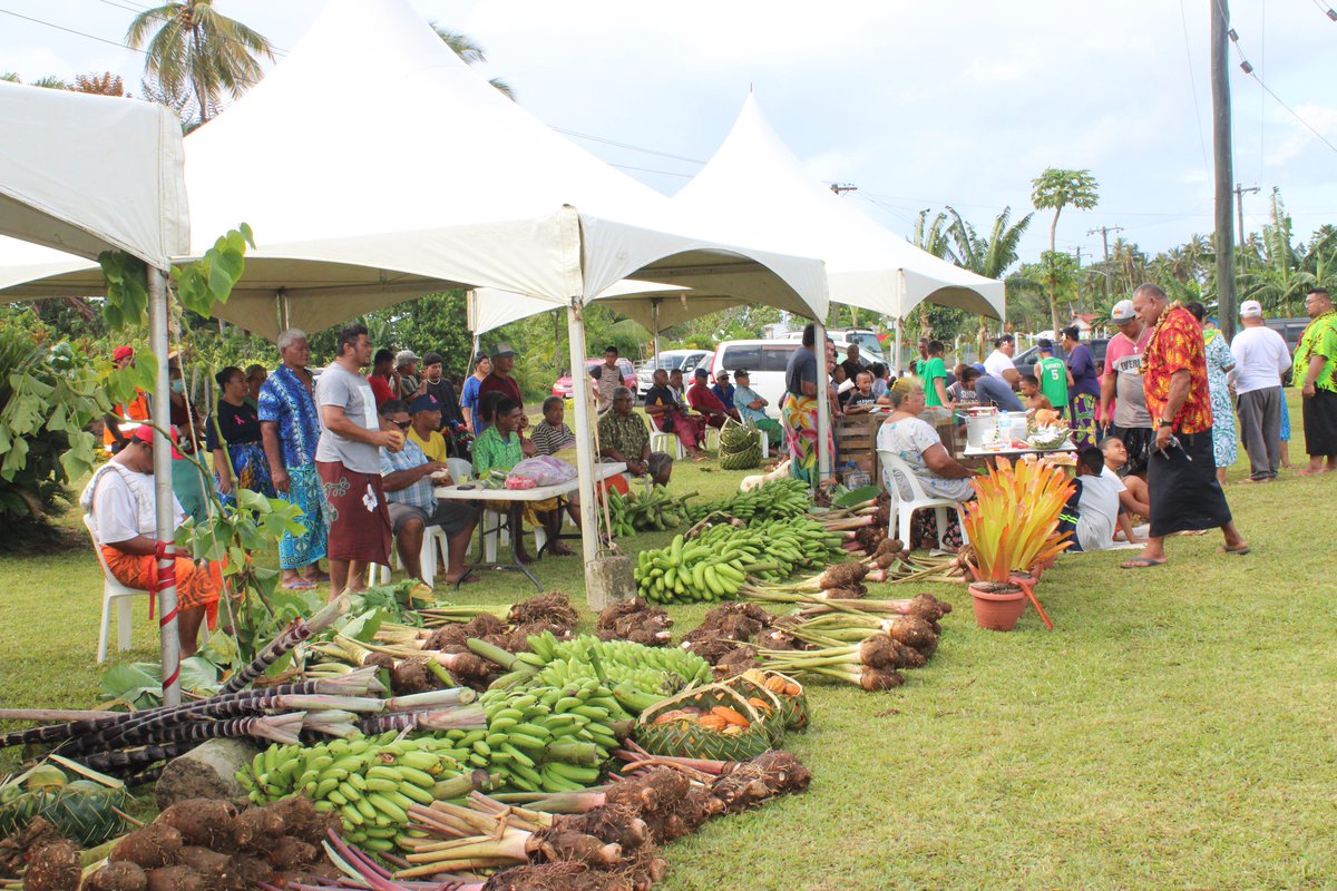 Government of Samoa on Twitter: 