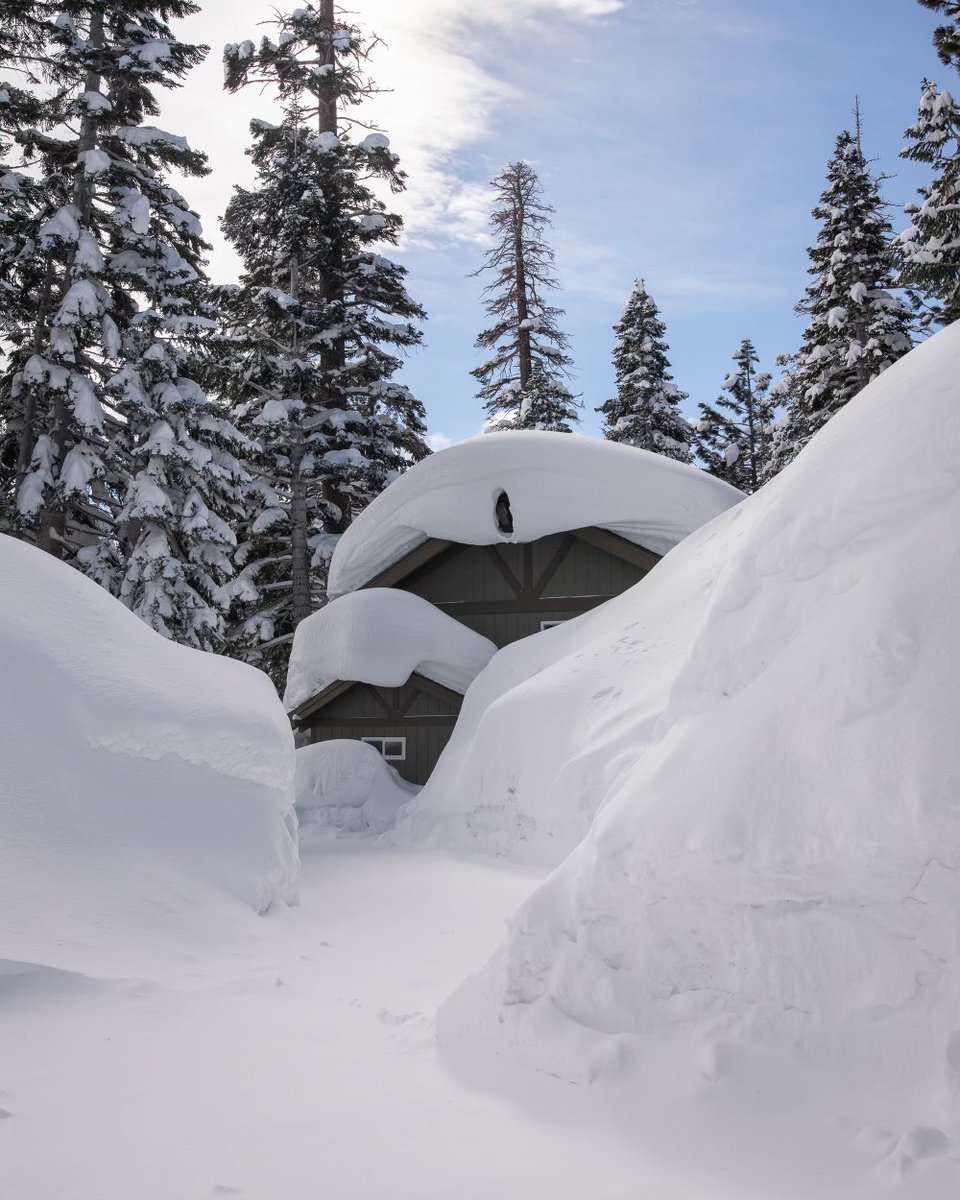 Mammoth Lakes Tourism, California tweet media