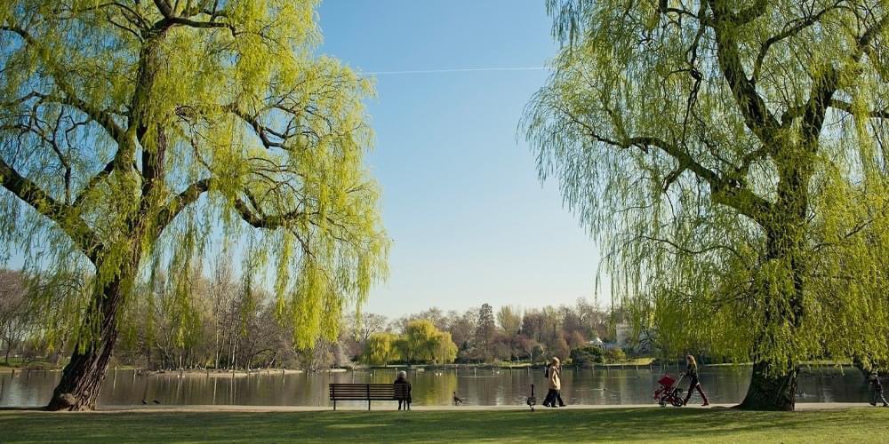 An opportunity to undertake an apprenticeship with <a href="/theroyalparks/">The Royal Parks</a> A 3 year apprenticeship taking place at Regents Park in Camden. The training provider is <a href="/capelmanor/">Capel Manor College</a> -deadline for applications 12th March.

whattodonow.co.uk/find_opportuni…

#apprenticeship #whattodonow #horticulturejobs