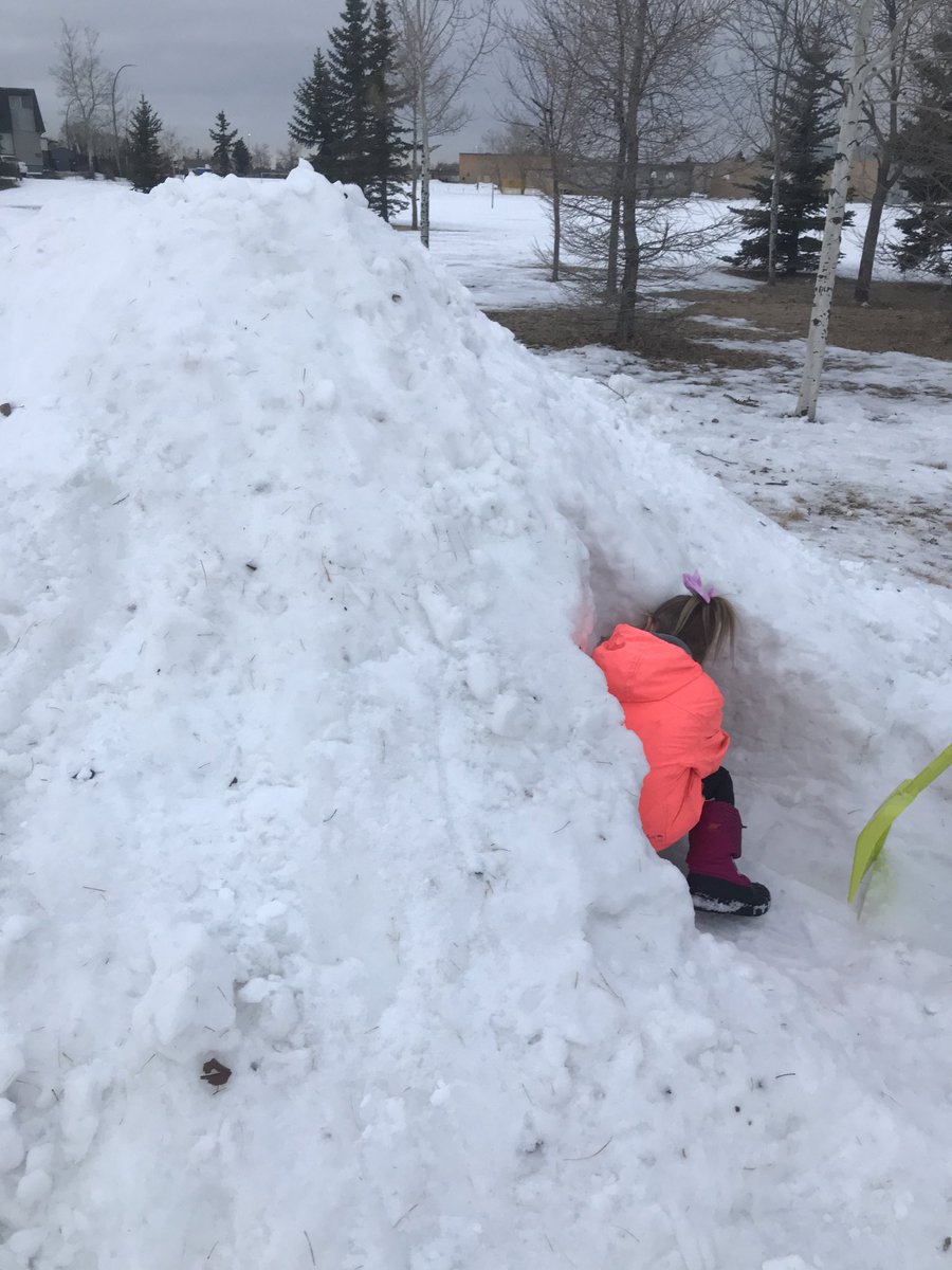 Mr.Hawken tweet media