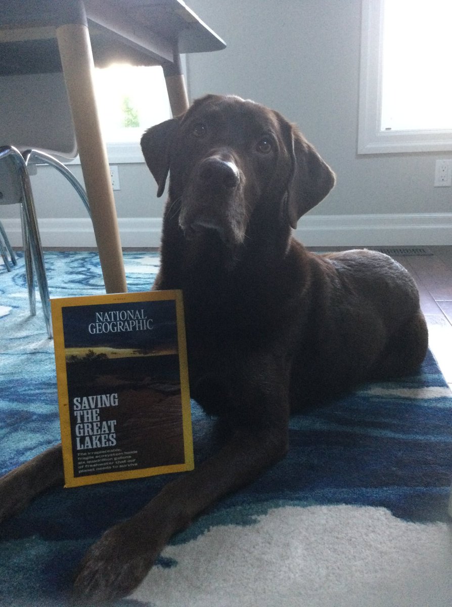 AlgaeBurger's tweet photo. @LakeOntario16 @LakeErieNorth @LakeMichigan13 @LakeHuronRolls @LakeSuperior @GLCommission @GLSPartnership Here is one of many at @LakeErieNorth, and another by @LakeSuperior marching for science, and sharing the @NatGeo  article his human dad was in. He's really an ambassador for all lakes - and lake sceince https://t.co/nCCs8mjnpx