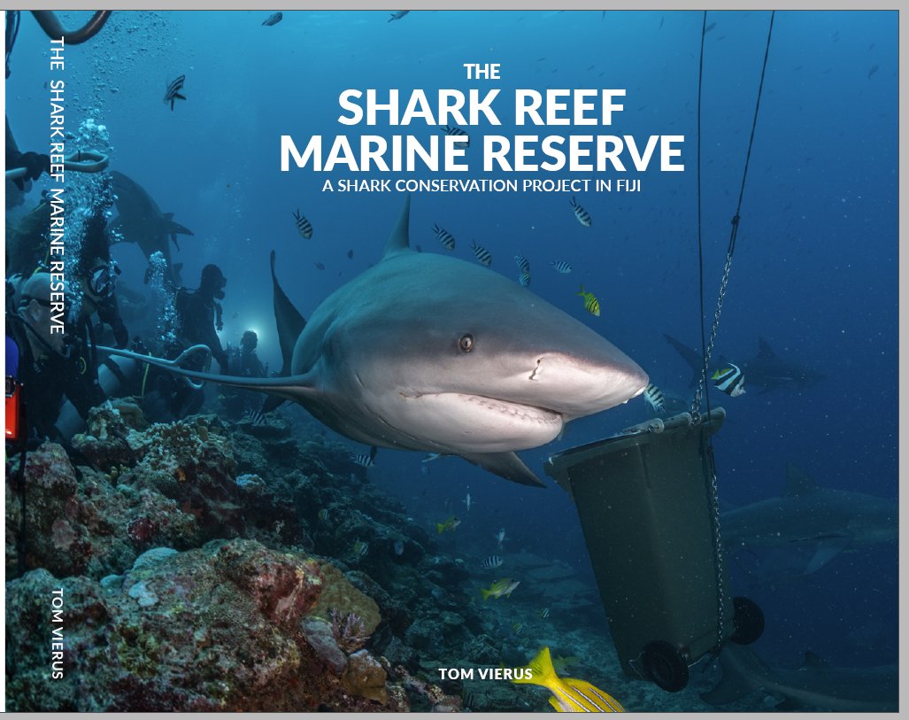 tom vierus tweet media