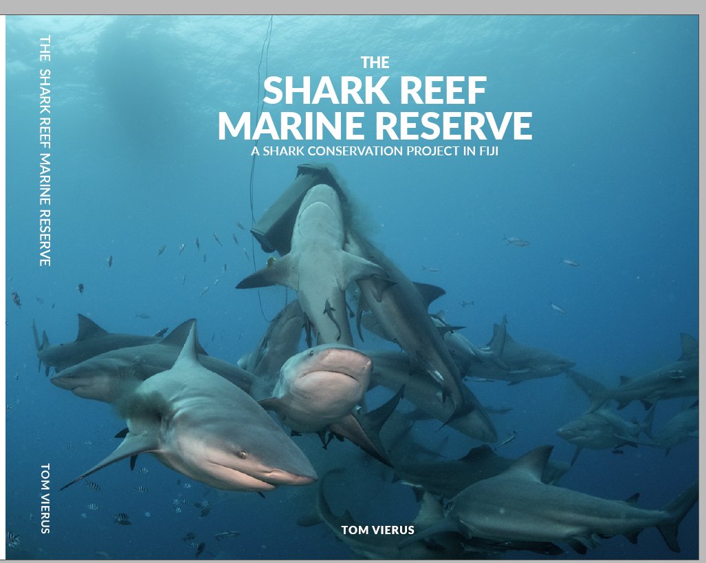 tom vierus tweet media