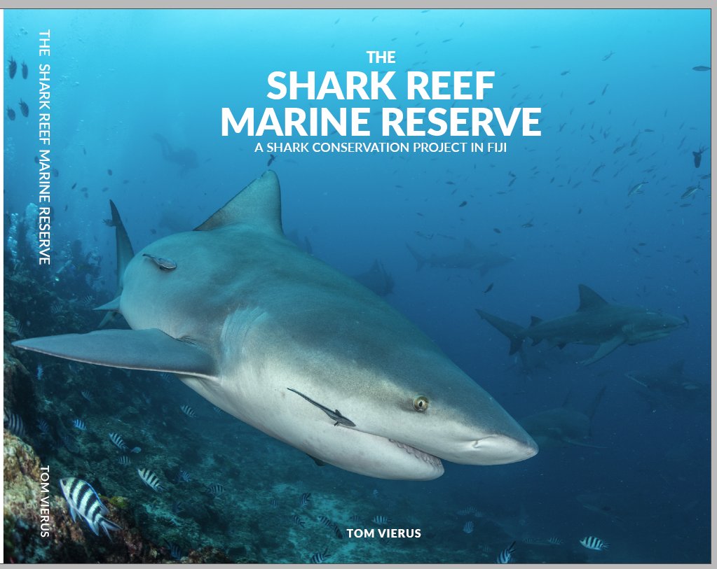 tom vierus tweet media