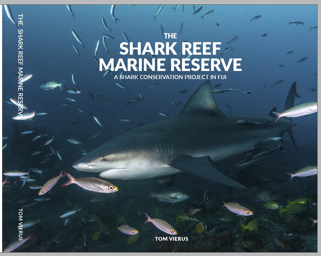 tom vierus tweet media