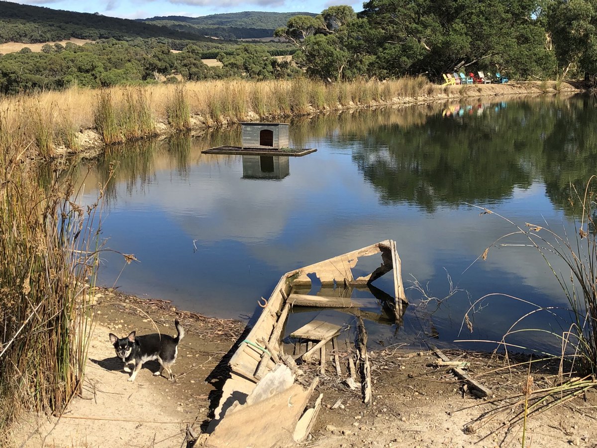 Front paddock views 💖
#farmlife #melbourne #macedonranges #ourviews #countrylife #reflections #views #australia