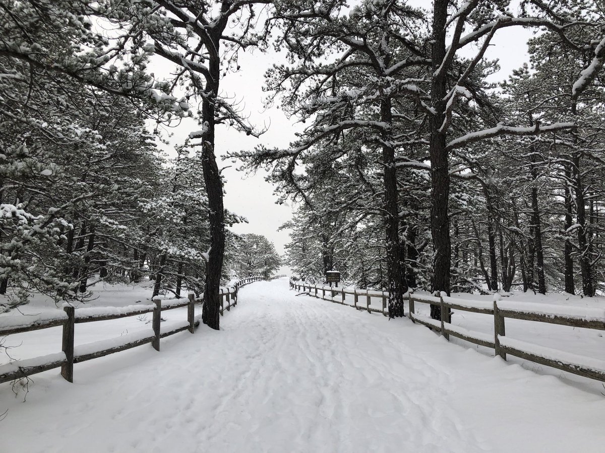 Tyler Cadorette tweet media