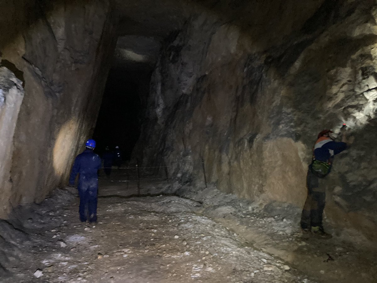 caitlincross254's tweet photo. Fantastic time spent with Clwyd Bat Group this weekend! Lots of lessers with a good mix of Myotis and BLE too!🦇…Just need to remember not to leave my gloves in the car next time😬 (No bats were handled/ licensed bat worker present) #hibernationchecks #lesserhorseshoe #batwork https://t.co/KwrjypKgn3