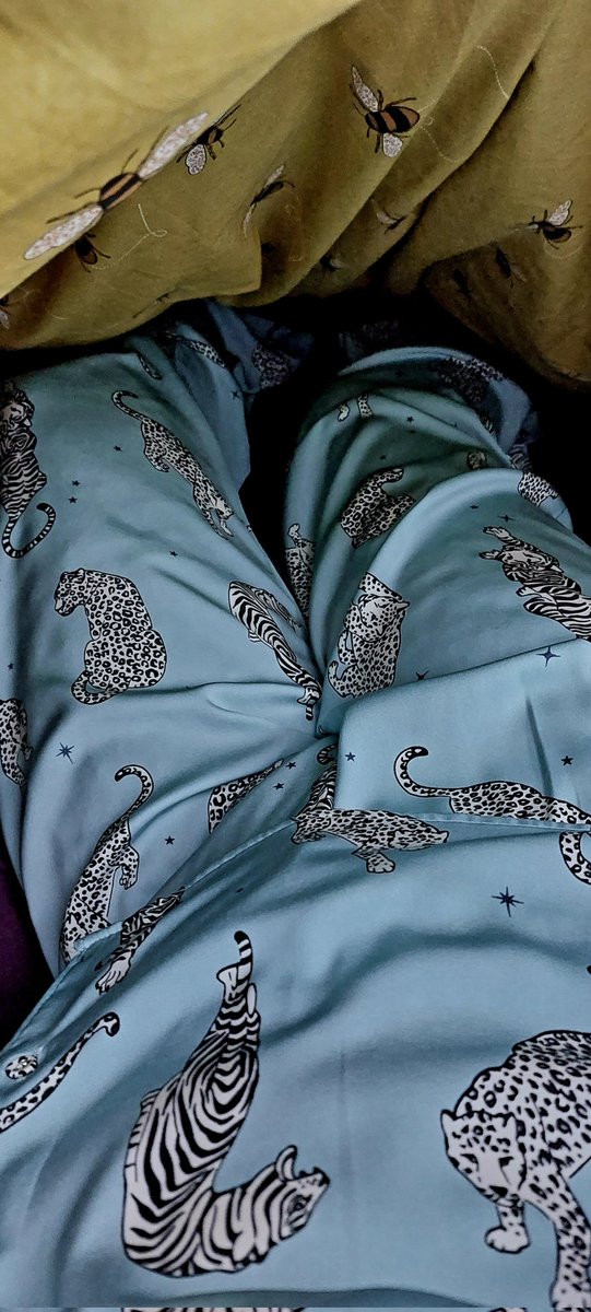 satin_laura's tweet photo. 💚🐯 print #satinpyjamas 💋💚
#satin #satinlover #lovesatin #pjs #pyjamas https://t.co/pQKgB2ueTE