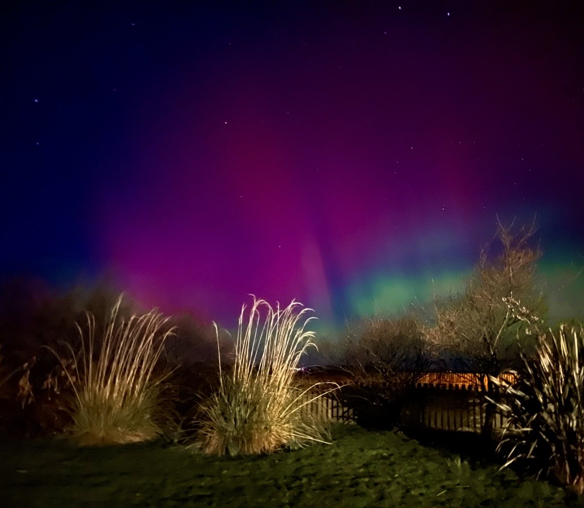 Glenegedale House, Isle of Islay tweet media