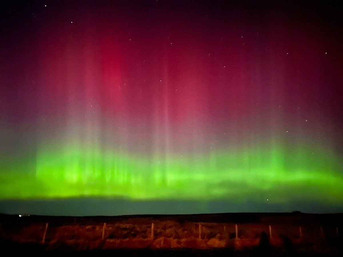 Glenegedale House, Isle of Islay tweet media