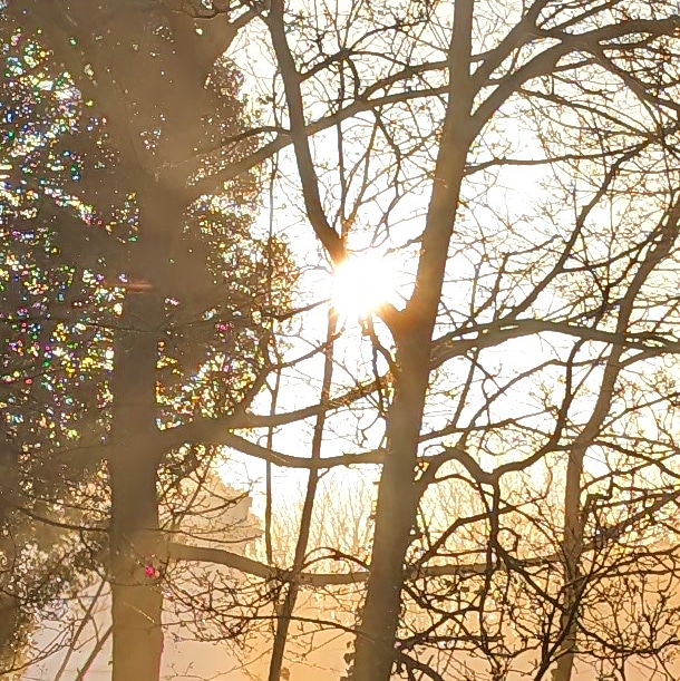 Tomorrow morning we're back at Native Self in Broadstairs for another #MindfulMonday session. Please book your place via our website if you'd like to come along.