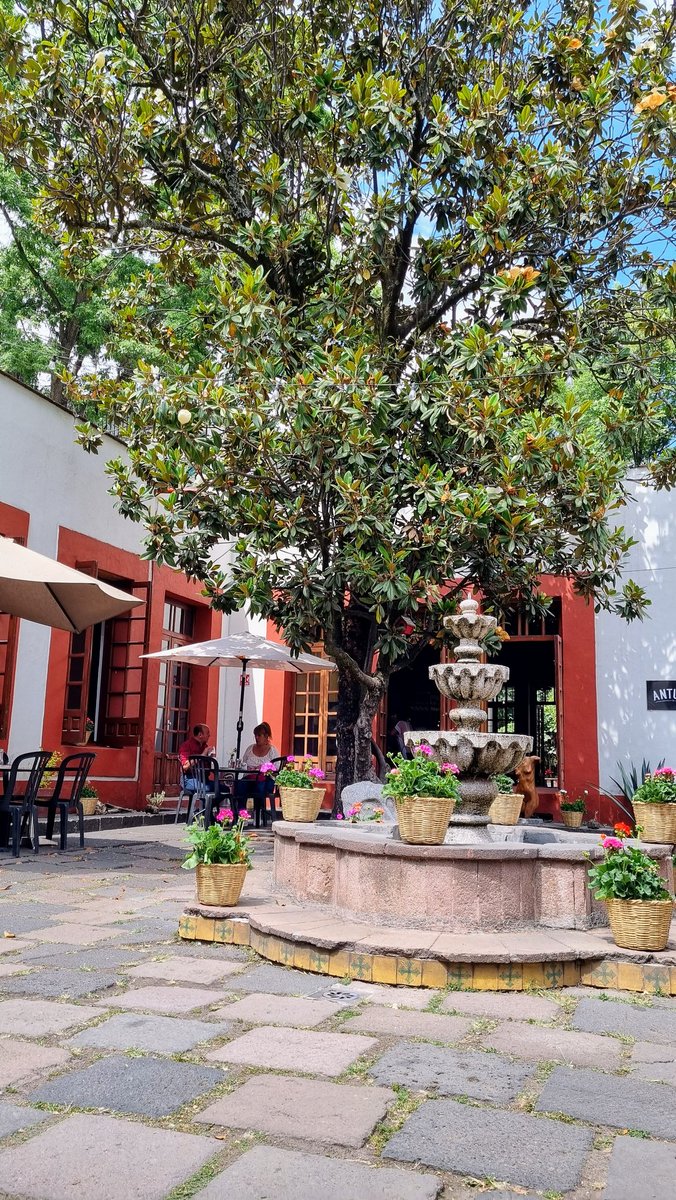 Nils Schuth 🇺🇦 tweet media