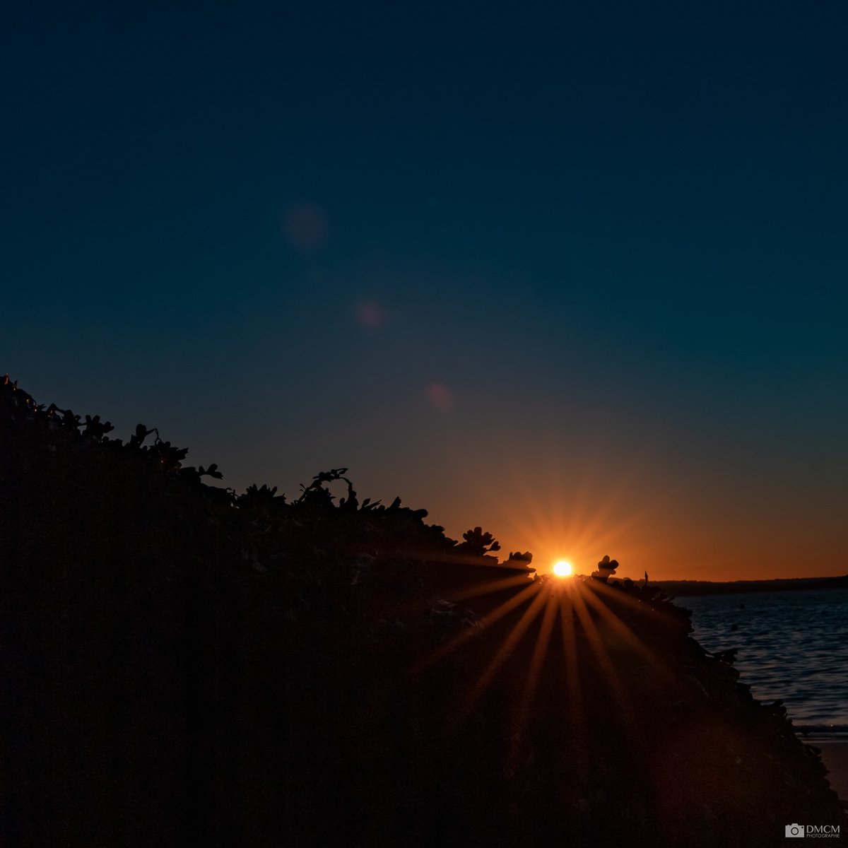 dmcmphoto's tweet photo. Aube à Morgat, France

Photo prise à la Pointe du Kador dans la ville de Morgat en Bretagne.

Sunrise at Morgat, France.

#photography #sunrise #Photographie #leverdesoleil #Bretagne #France https://t.co/jA9nLOsUJT