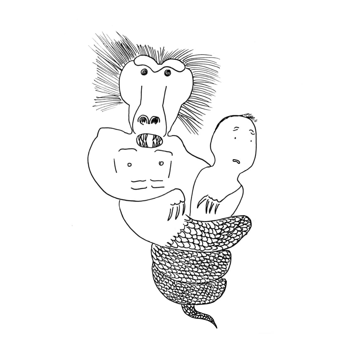 Sarah Herman tweet media