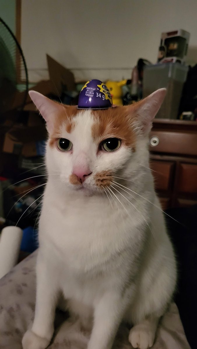 CADBURRY EGG