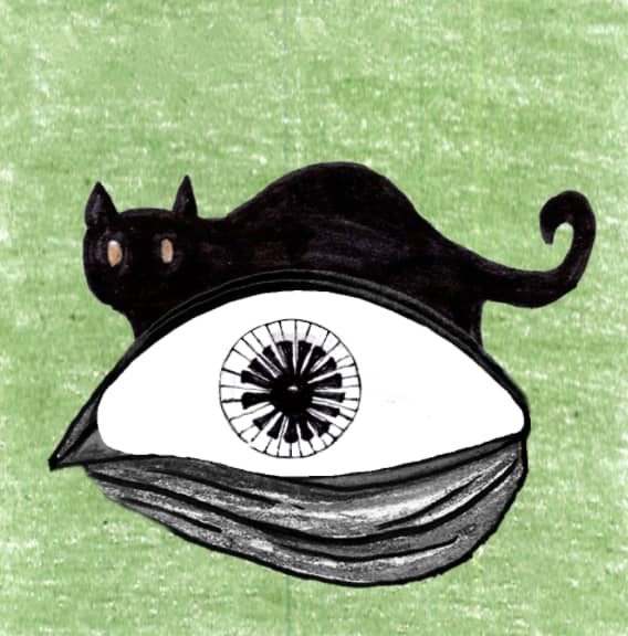 Wild Eyes NFT tweet media
