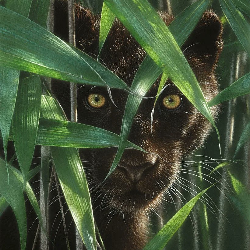 Wild Eyes NFT tweet media