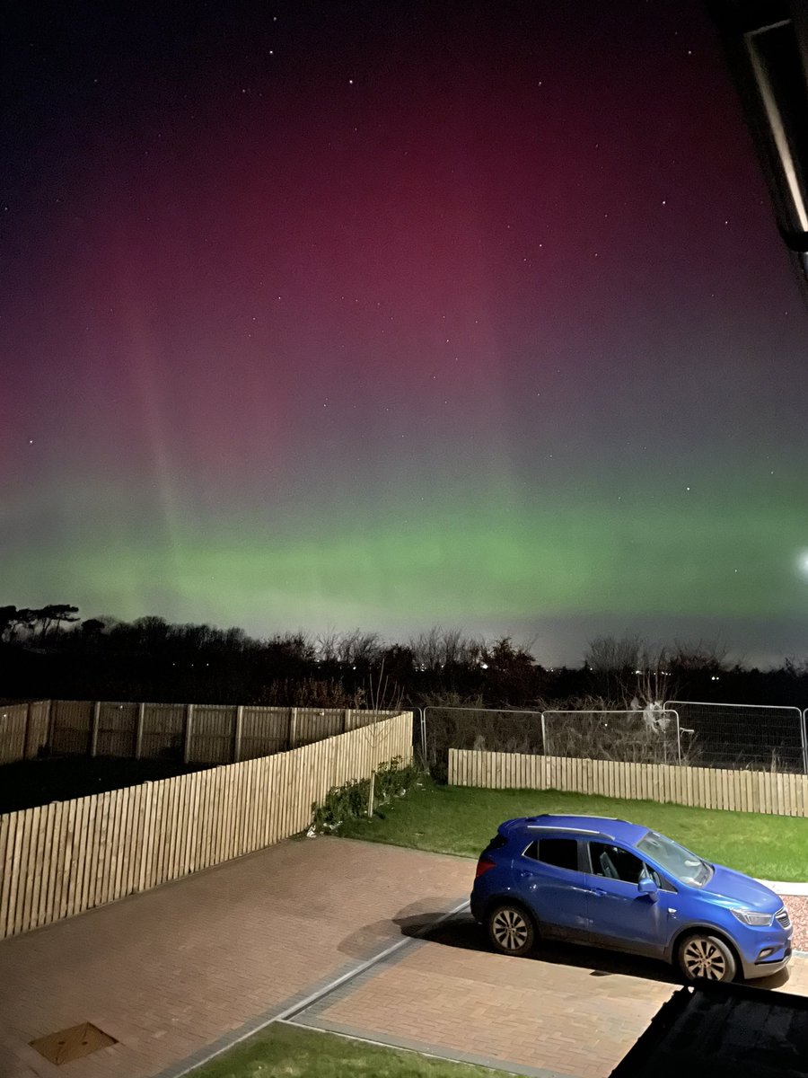 Alisha Ceit 🏴󠁧󠁢󠁳󠁣󠁴󠁿 tweet media